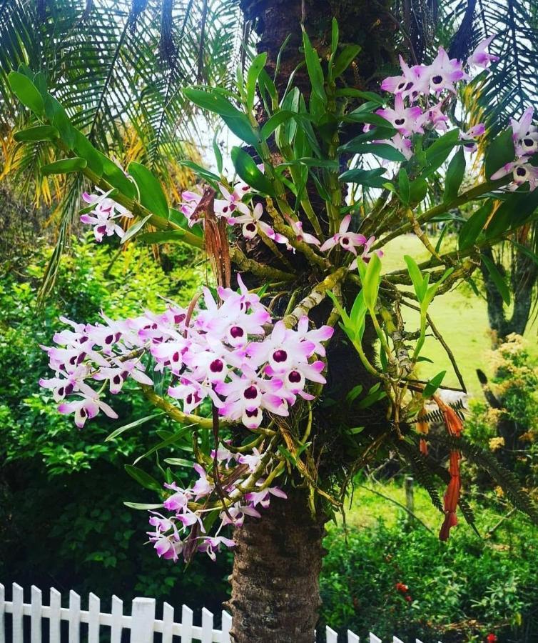 Chacara Sonho Meu Villa Pinhalzinho  Luaran gambar