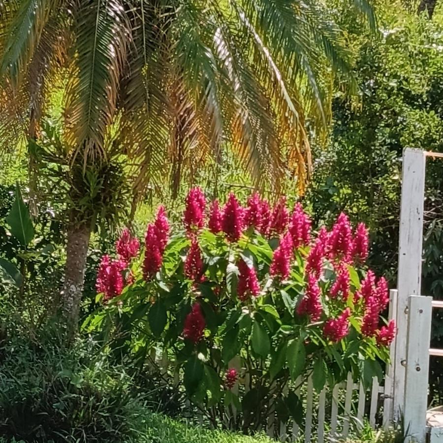 Chacara Sonho Meu Villa Pinhalzinho  Luaran gambar